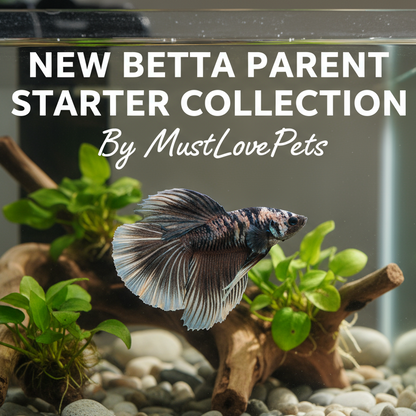 Betta fish in an aquarium with text about a new starter collection by MustLovePets