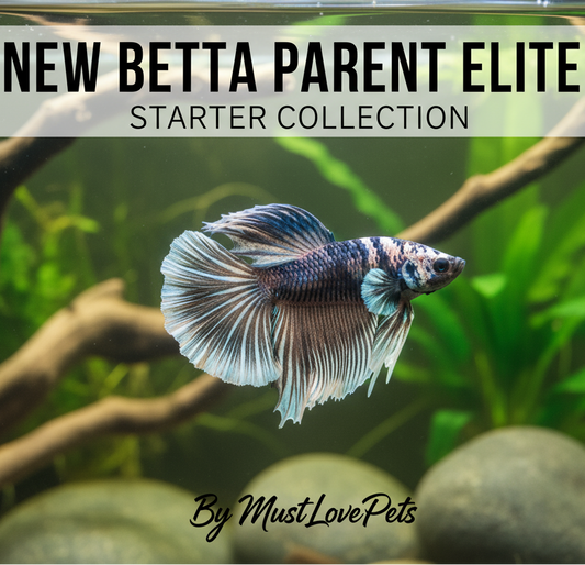 New Betta Parent Elite Starter Collection - Complete Betta Care System with Digital Guide & Smart Aquarium Technology