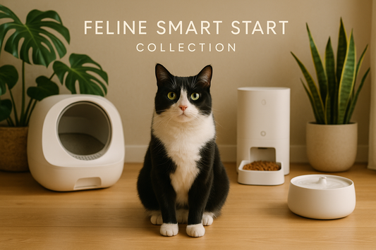 Cat sitting on a wooden floor with pet products and plants in the background, labeled 'Feline Smart Start Collection'.