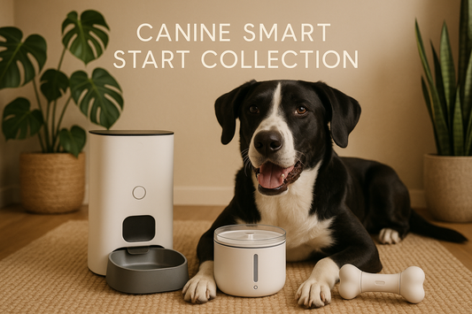 realistic image, close up shot of a large black and white dog proudly laying down infant of his new smart feeder, smart fountain, and smart bone toy, Scandinavian minimalism design, plants, warm earth tones, "CANINE SMART START COLLECTION" top and center of image