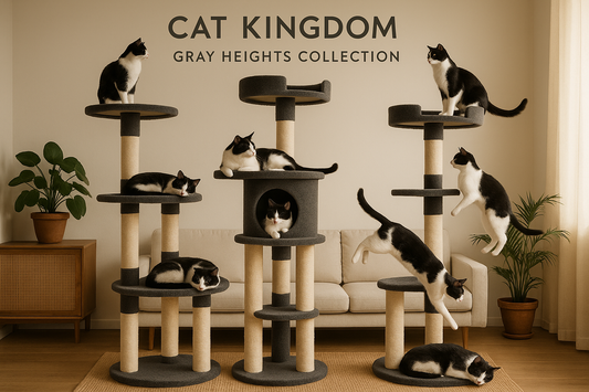Cat Kingdom Gray Heights Collection with cats on cat trees in a room.