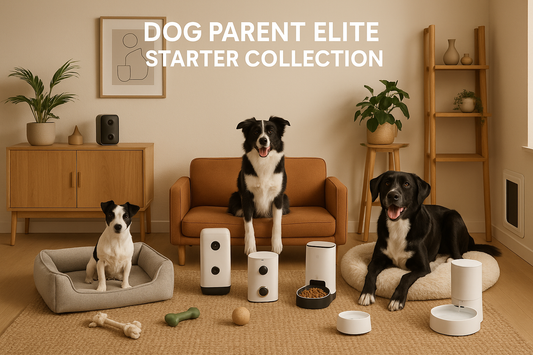 realistic image of 3 different sized black and white dogs surrounded by smart dog products, feeders, fountains, treat dispenser, pet nanny camera, doggy door in the wall, smart bone,1 fluffy sofa style dog bed, 1 loveseat style dog bed, 1 round bolster dog bed, dog toys, fully furnished Scandinavian designed room, plants, warm earth tones, "DOG PARENT ELITE STARTER COLLECTION" top and center