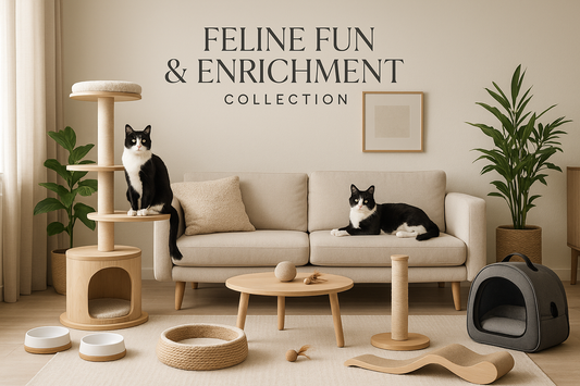 Cat furniture and toys in a living room setting with 'Feline Fun & Enrichment Collection' text.