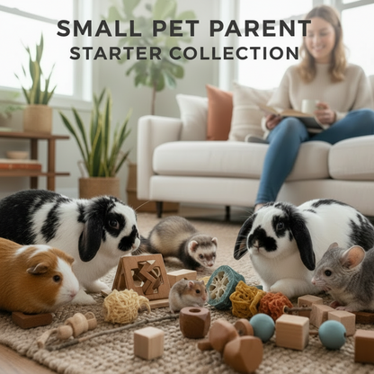 Small Pet Parent Starter Collection (Rabbit, Guinea Pig, Hamster)
