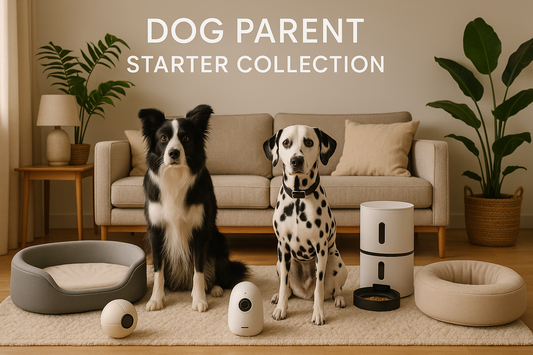 realistic image of black and white dogs surrounded by smart pet products, beds toys, furnished Scandinavian design living room, plants, warm earth tones, "DOG PARENT STARTER COLLECTION" top and centered