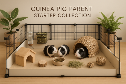realistic image of c&c mesh cage system with black and white guinea pigs, guinea pig products, Scandinavian design, plants, natural elements, warm earth tones, "GUINEA PIG PARENT STARTER COLLECTION" top and center
