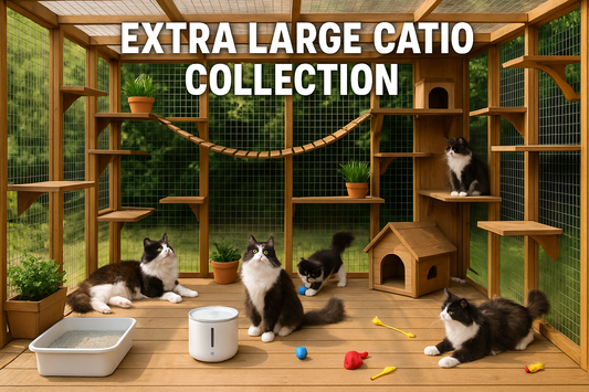 realistic image of fluffy black and white cats from inside a wood and wire mesh enclosure, suspension bridges, litter box, smart fountain, planters, condos, perches, cat toys, top centered "EXTRA LARGE CATIO COLLECTION"