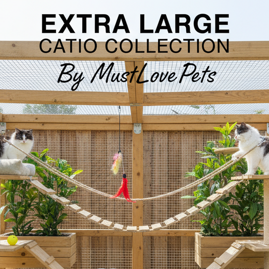 Extra large catio collection by MustLovePets with multiple cats on the structure.