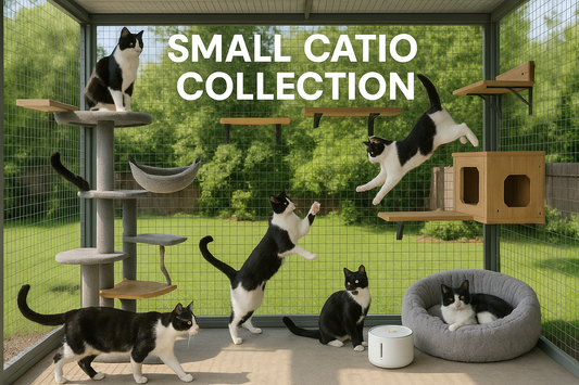 Small catio collection with cats and cat furniture in a fenced outdoor area.