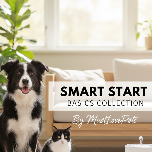 Dog and cat sitting on a rug with MustLovePets smart pet products in a living room.
