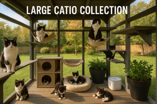 Large catio collection with multiple cats on a wooden platform with shelves and plants.
