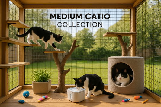 Cats in a medium catio collection with wooden structures and toys.