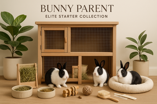 zoom out add wood and mesh rabbit hutch